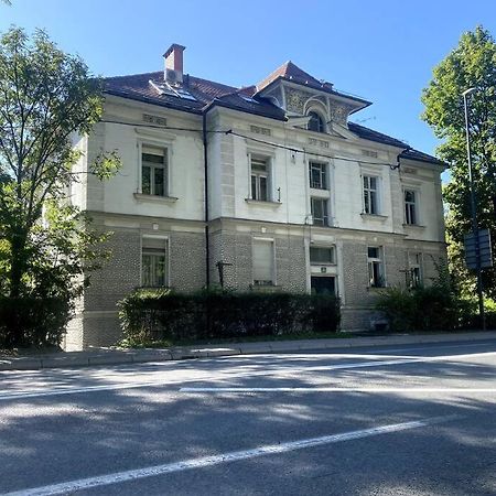 Charming Appartment 3-Min Walk To Old Town - Free Parking Lublana Zewnętrze zdjęcie